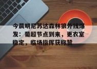 今晨明尼苏达森林狼外线爆发：葡超节点到来，更衣室稳定，临场指挥获称赞的简单介绍-乐竟体育